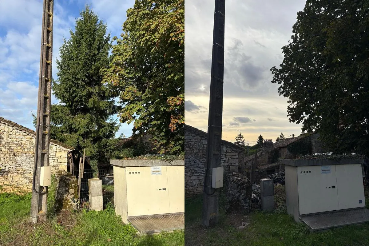 Avant après abattage d’un sapin près d’une maison